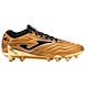 Gold/Black