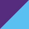 Pace Purple/Blue
