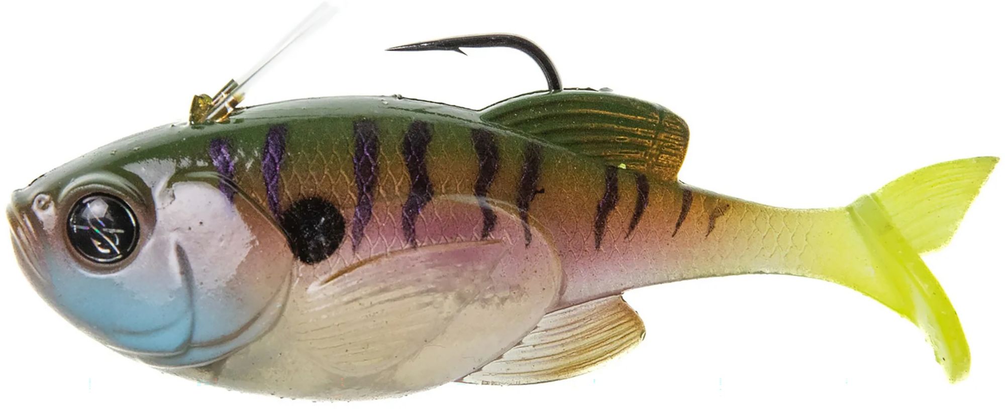 Ghost Gill