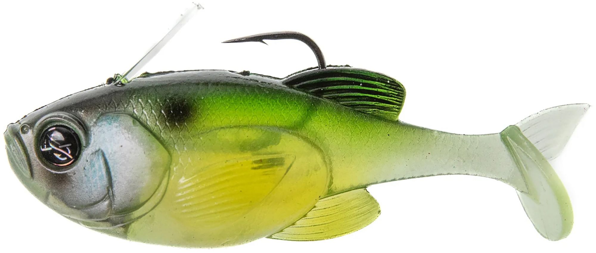 Nasty Shad