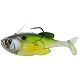 Nasty Shad