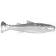 Smoky Shad