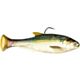 Blueback Herring