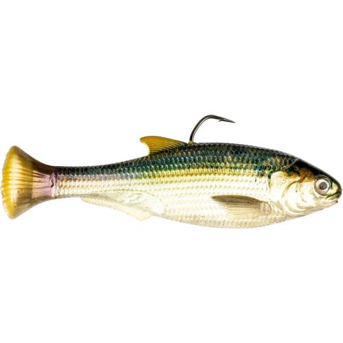 Mike Bucca Trick Shad