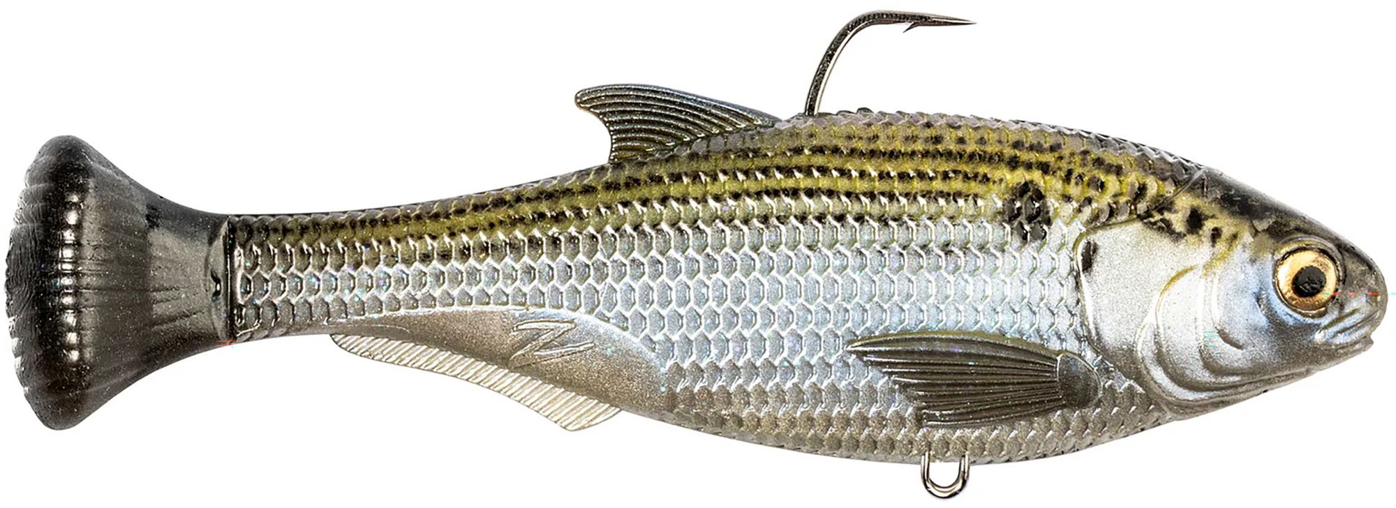 Mossback