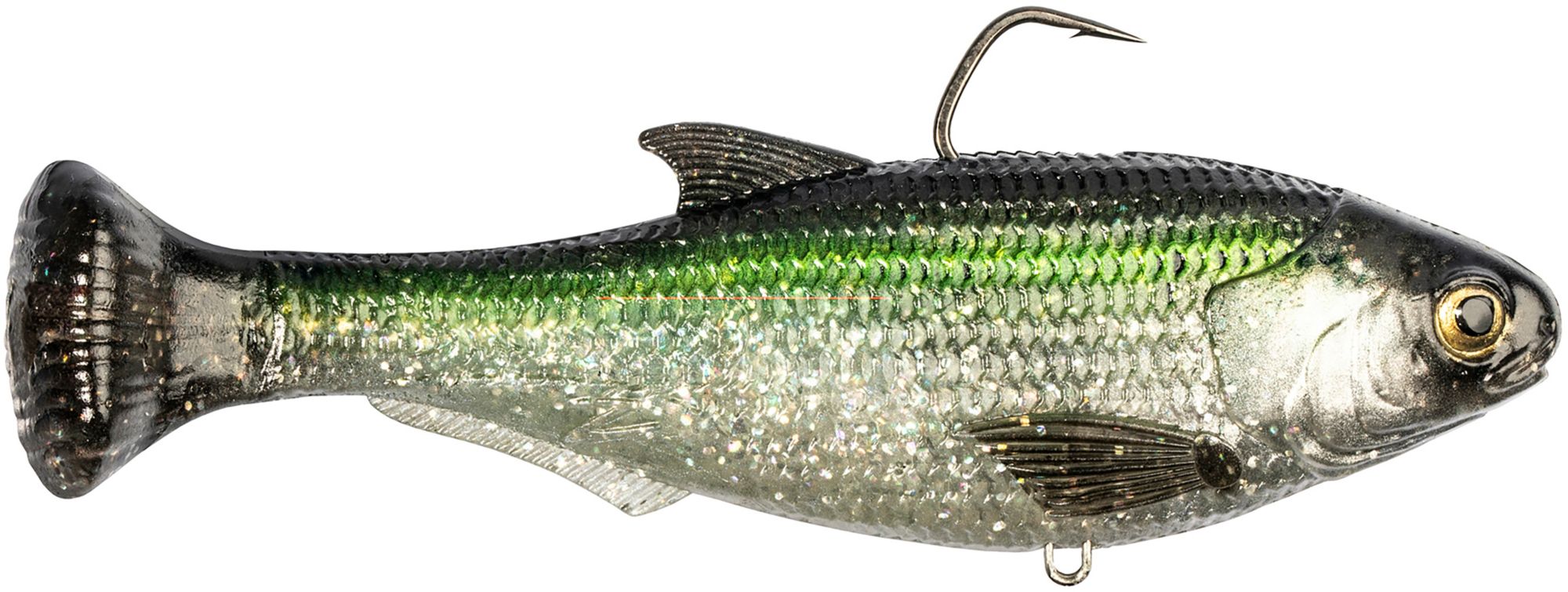 Tennessee Shad