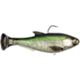 Tennessee Shad