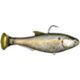 Threadfin Shad