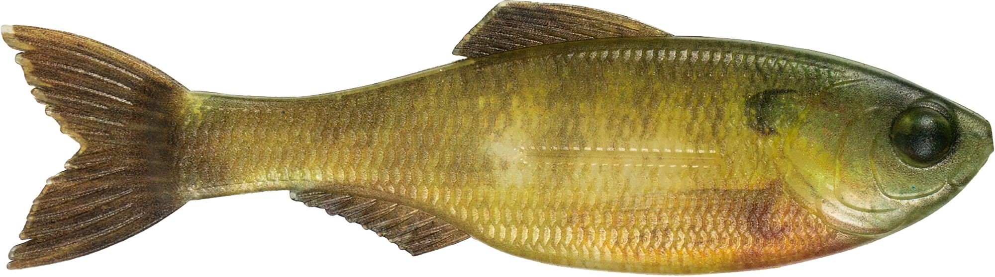 Live Bluegill
