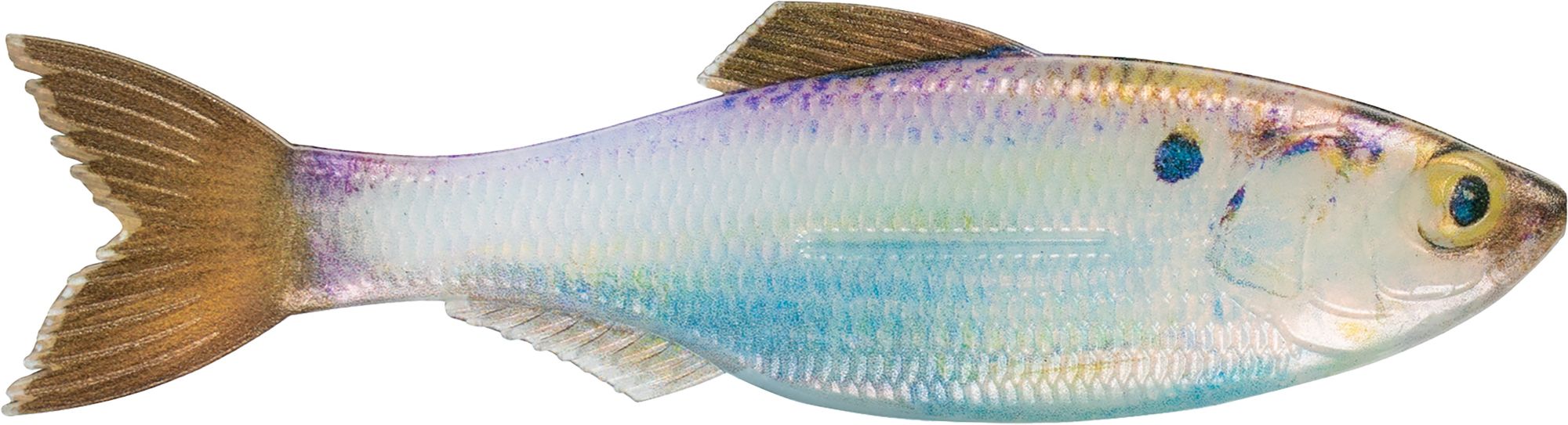  Fishing Gear & Tackle