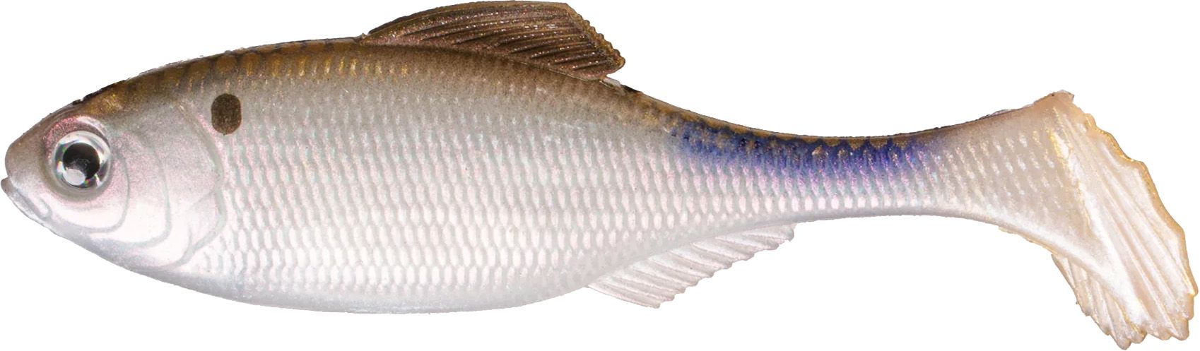 4K Shad