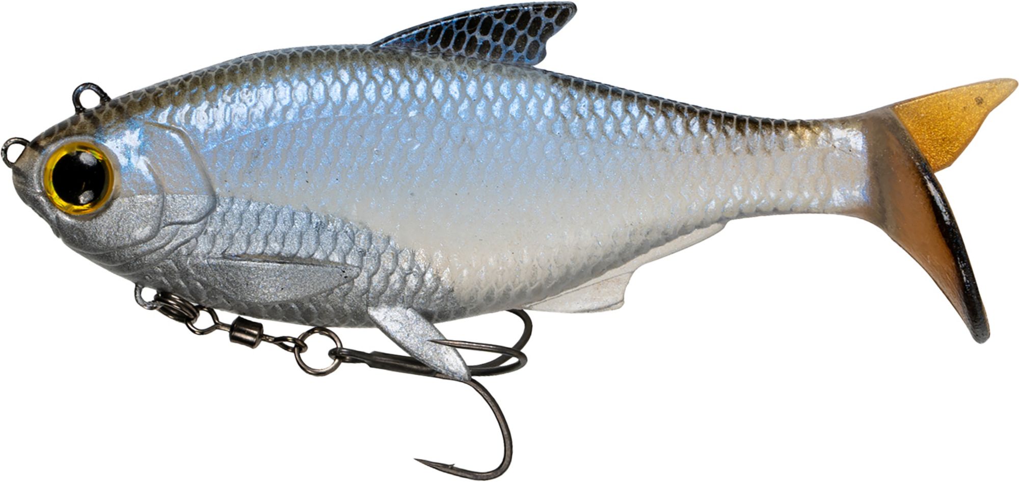 Blue Shiner