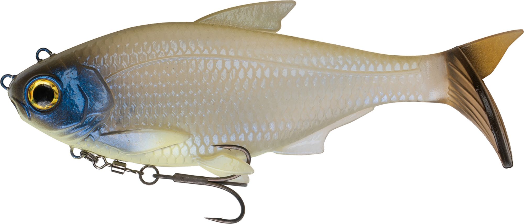 Ghost Bone Shad