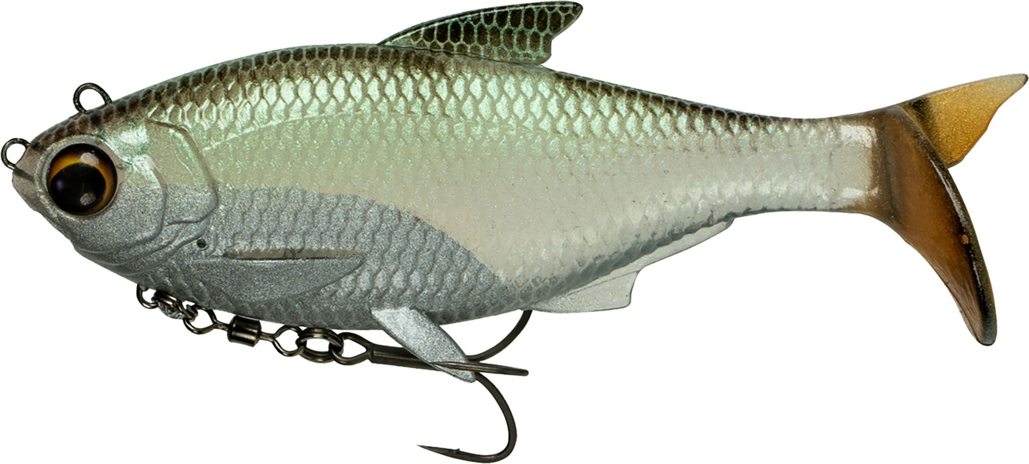Green Shiner