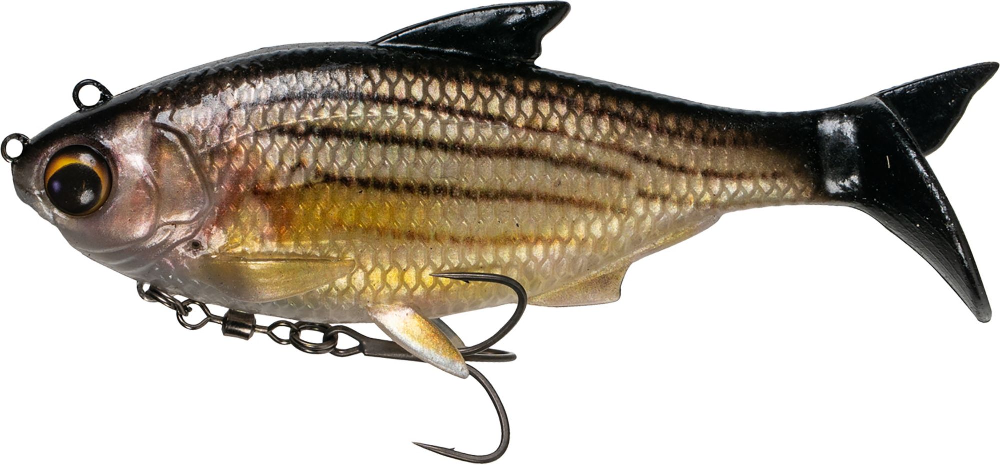 Live Barfish