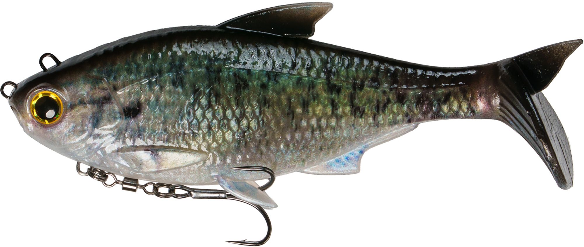 Live Crappie