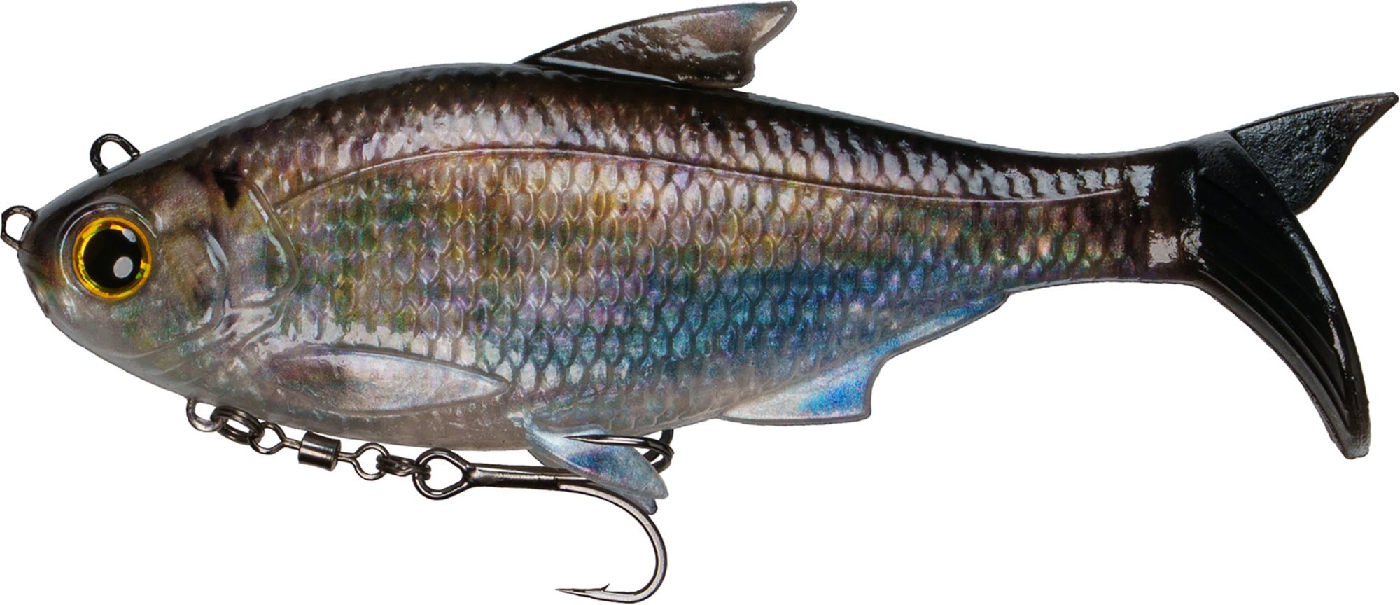 Live Shad