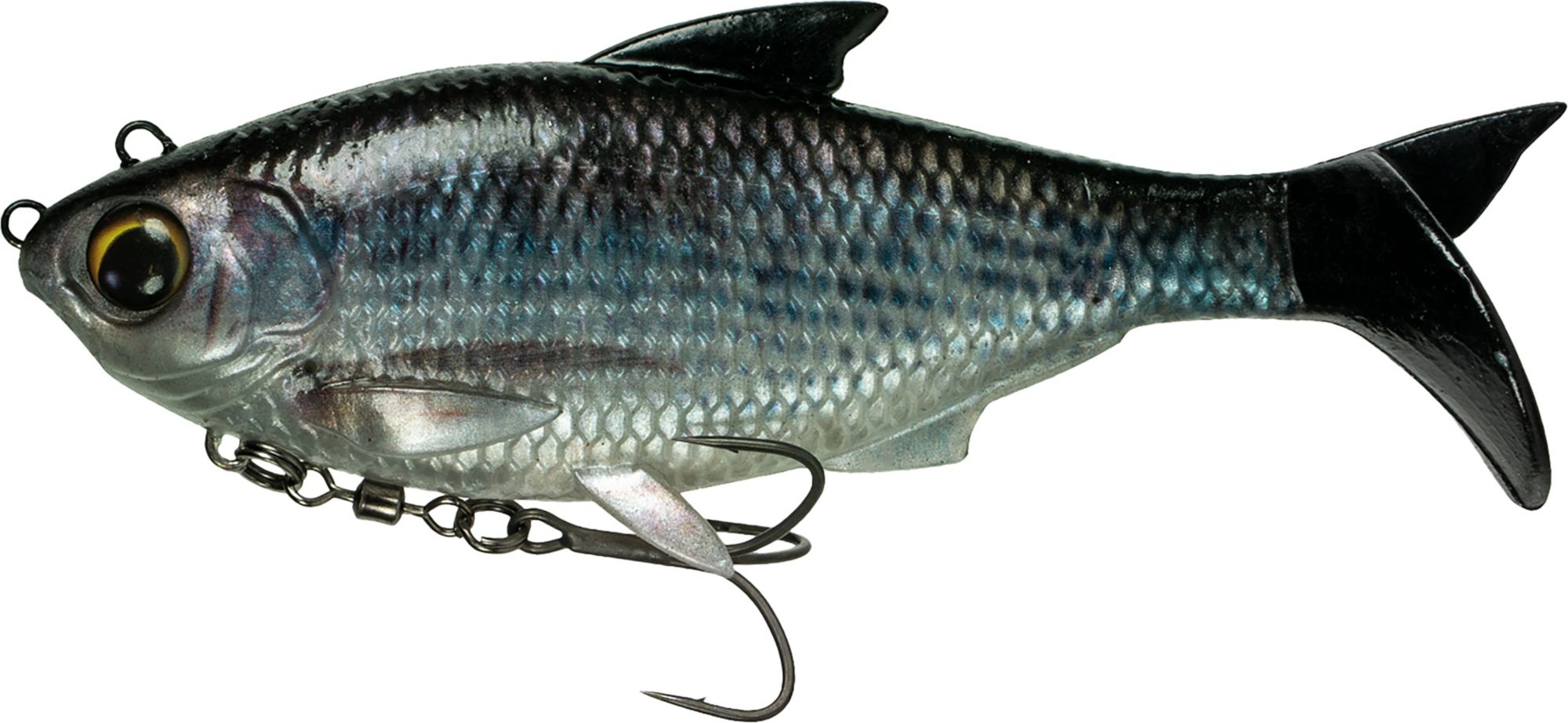 Live Tilapia