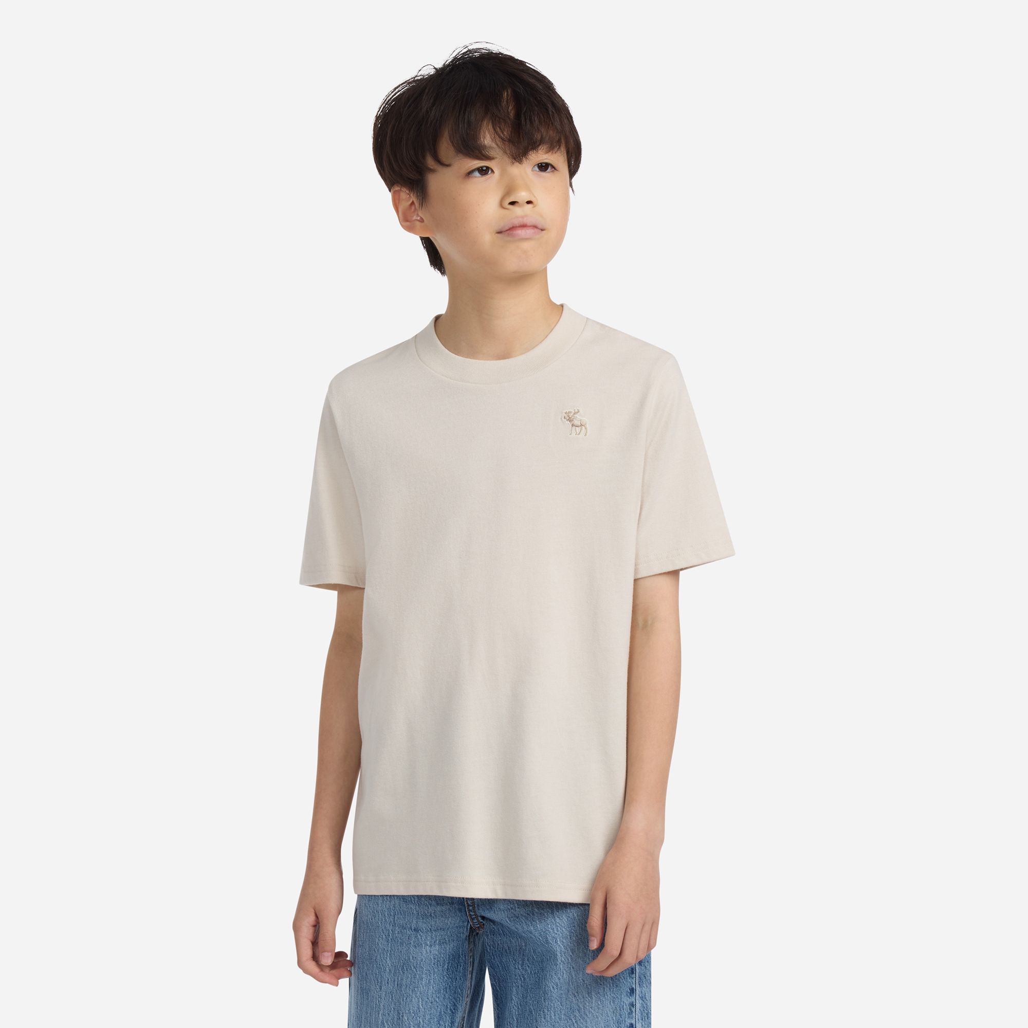abercrombie kids essential tee