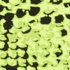 Lime Green/Black