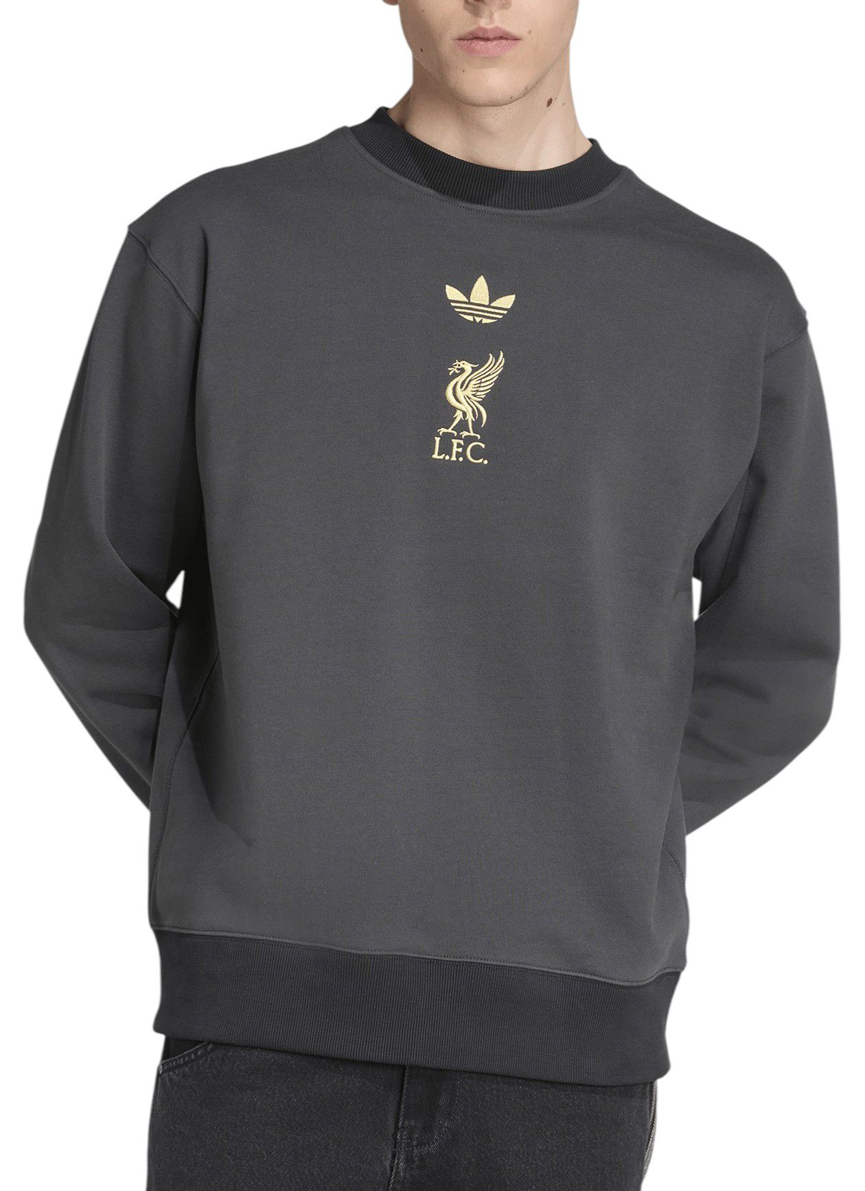 adidas Adult Liverpool FC 2025-26 Vintage Multi-Color Crew Sweatshirt