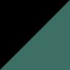 Black/Collegiate Green
