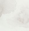 Putty Beige/White