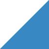Bluebird/White