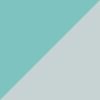 Aqua/Silver