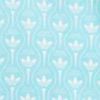 Light Aqua/White