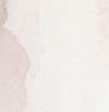Wonder Taupe