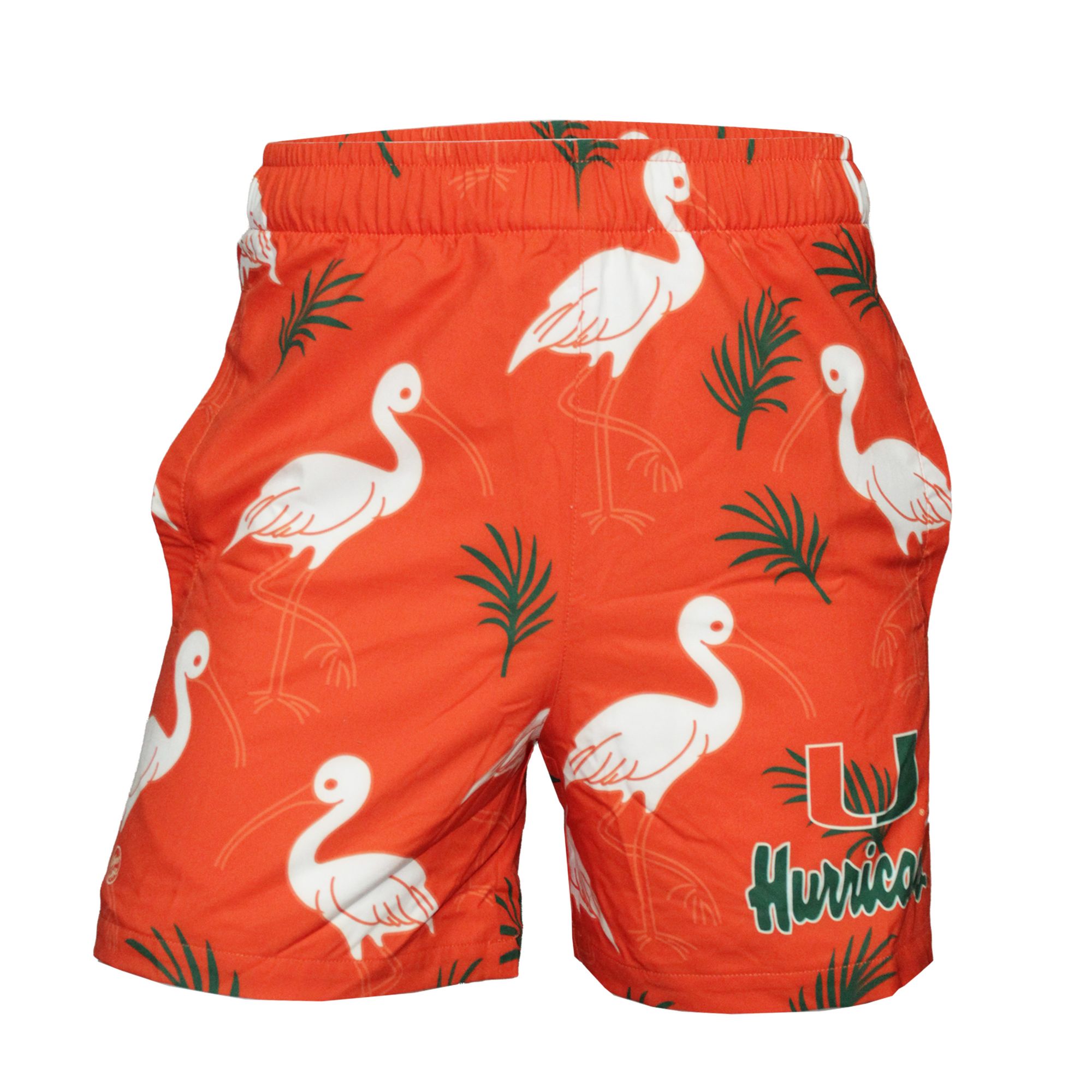 Dyme Lyfe Men's Miami Hurricanes Orange Sublimated Shorts