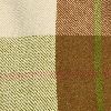 Green/Brown Brooksville