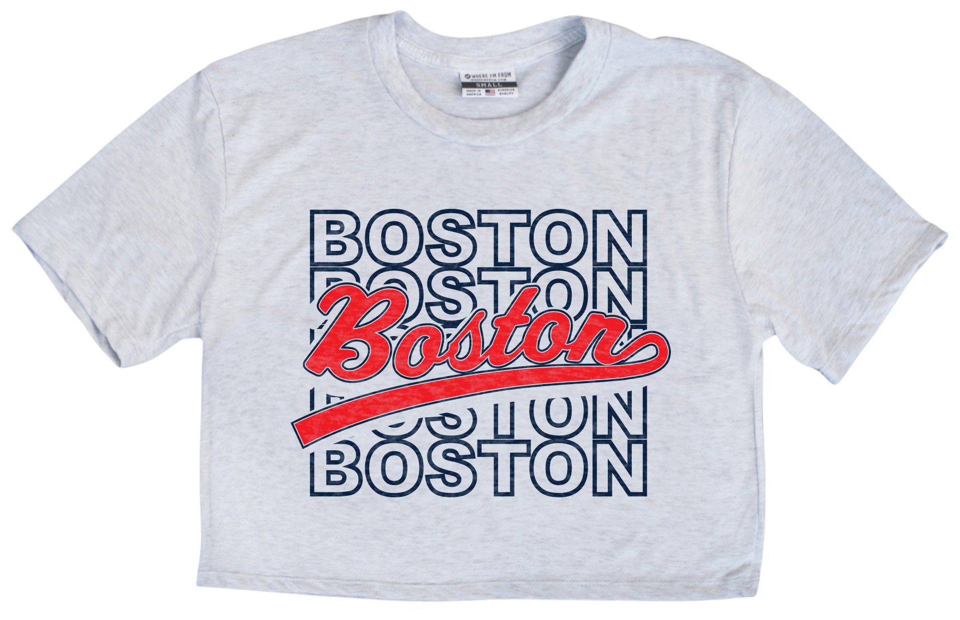 Where I'm From Adult Boston Ash Repeat Cropped T-Shirt