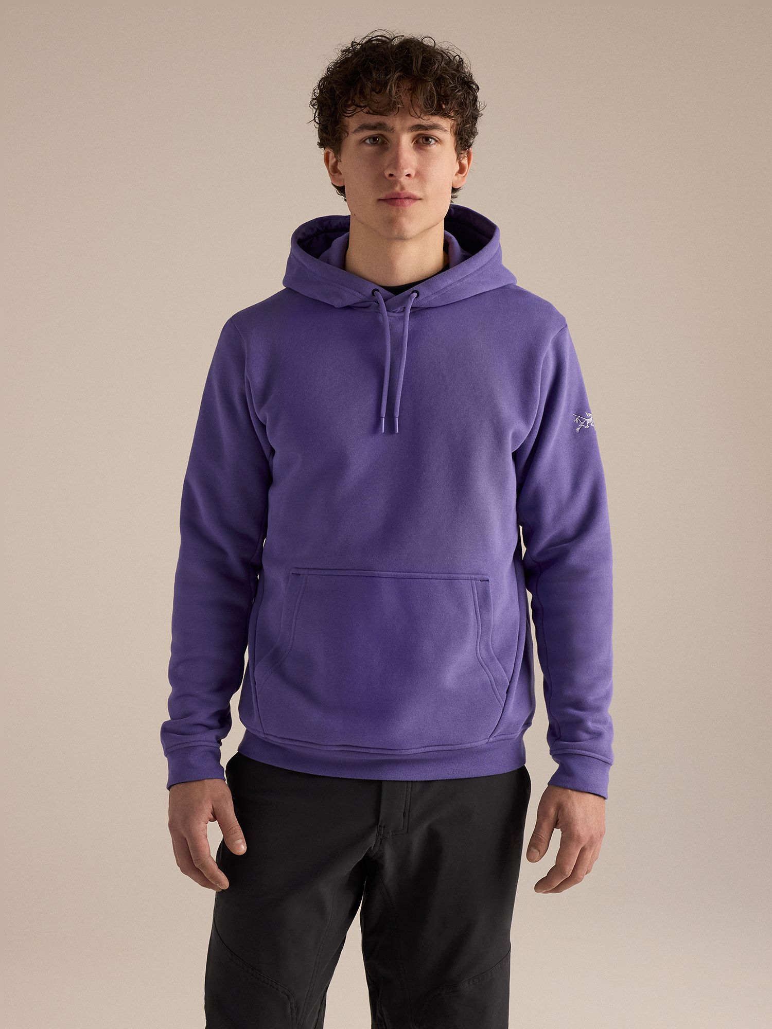 Arc'teryx Men's Emblem Fleece Hoodie