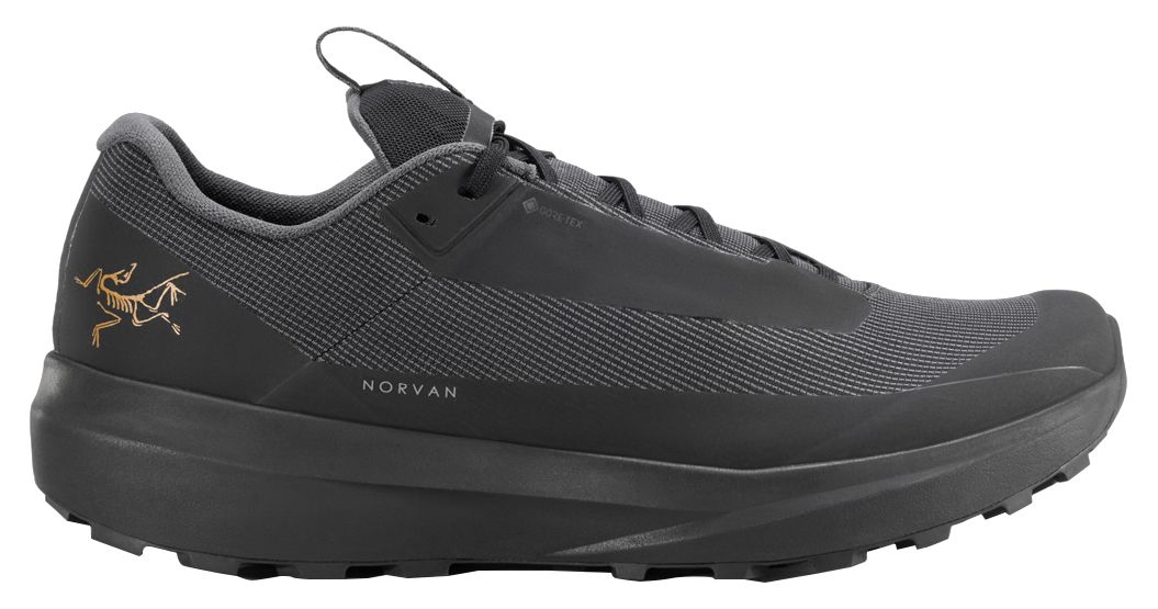 Arc'teryx Men's Norvan LD4 GORE-TEX Low Shoe