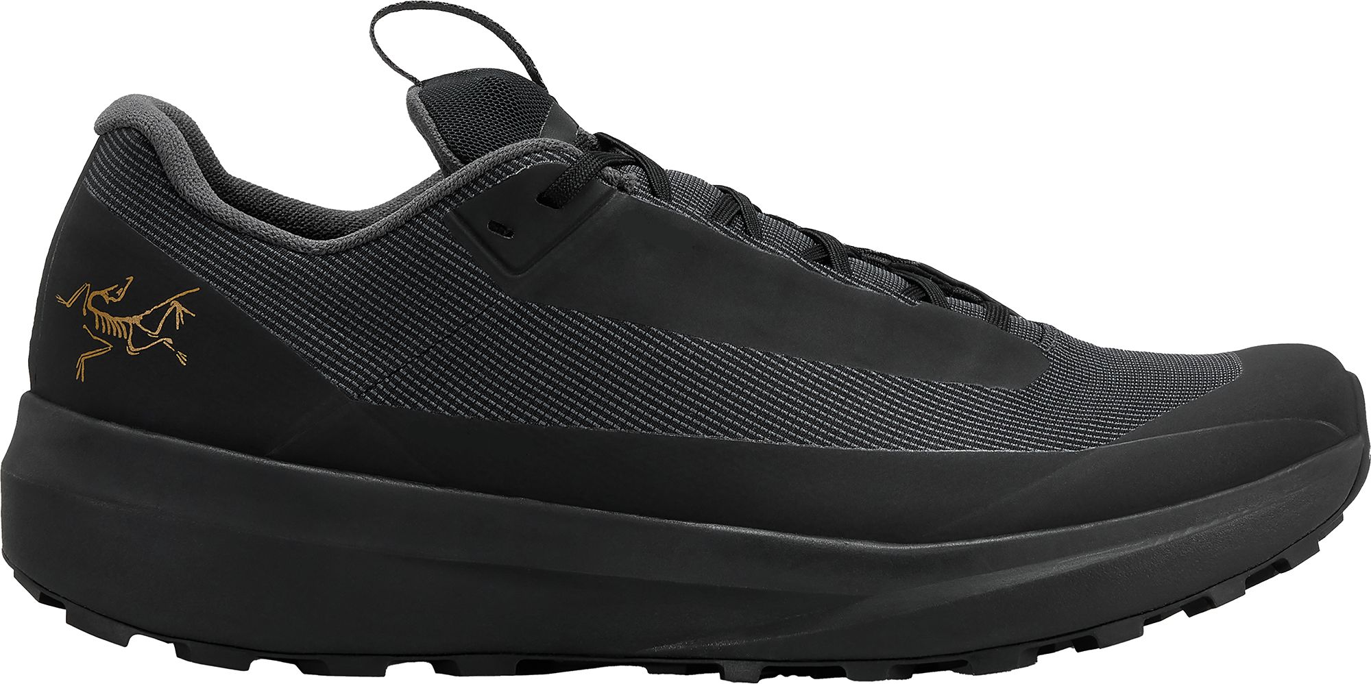 Arc'teryx Men's Norvan LD4 GORE-TEX Low Shoe