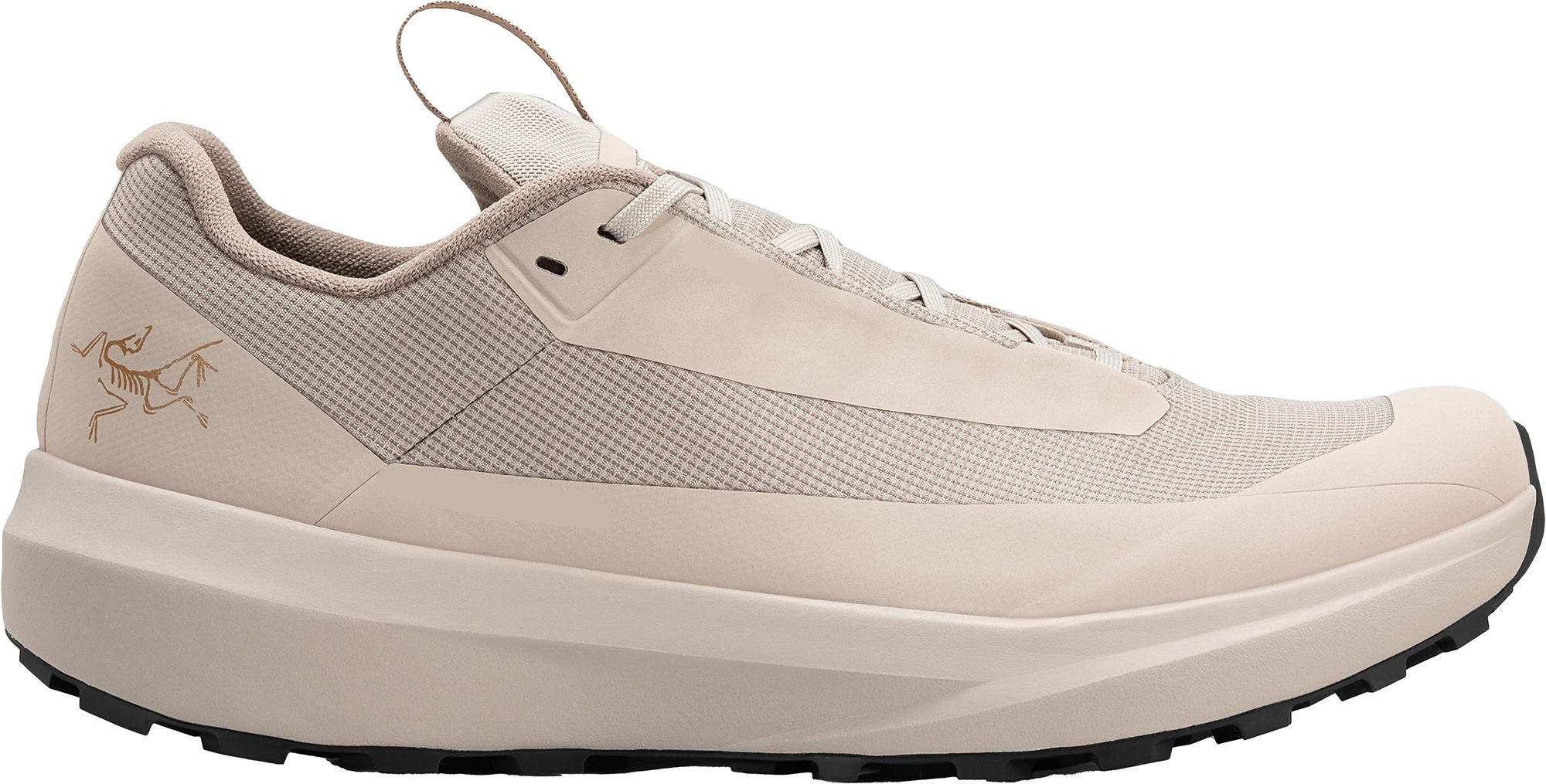 Arcteryx Men's Norvan LD4 GORE-TEX Low Shoe