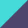 Purple/Teal