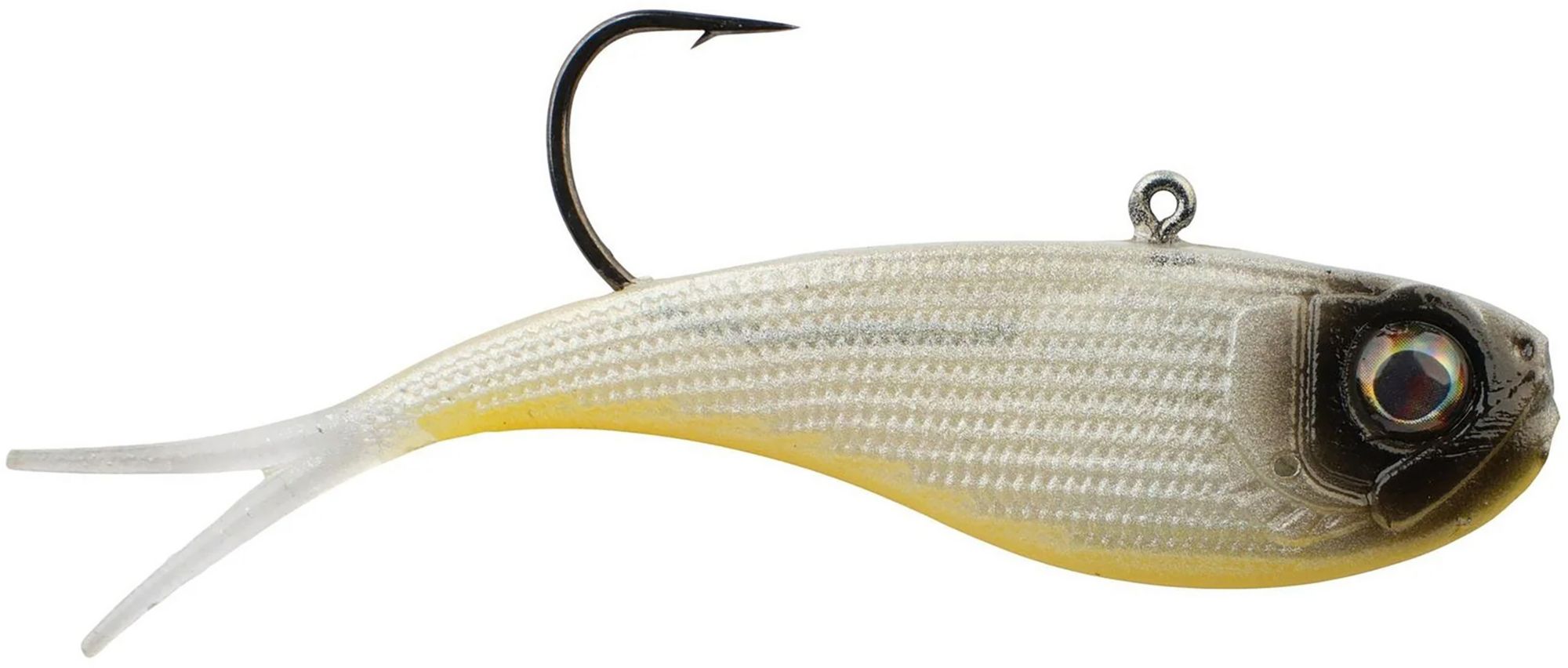 Yellow Belly