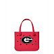 Georgia Bulldogs