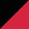Georgia Bulldogs