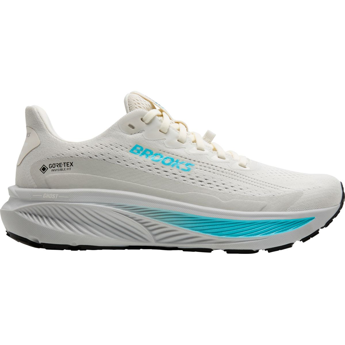 Brooks Women's Ghost 17 GTX Running Shoes