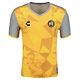 Yellow/Grey