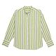 Acidic Lime Stripe