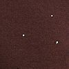 Chocolate Plum Nailhead