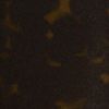 Tortoise Print Black