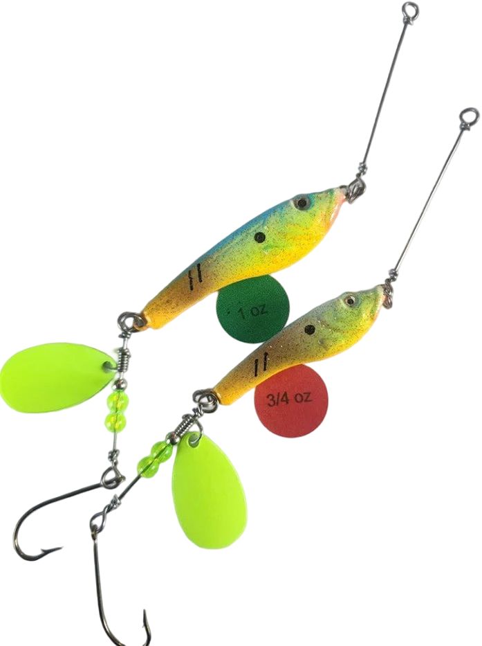 Bluegill