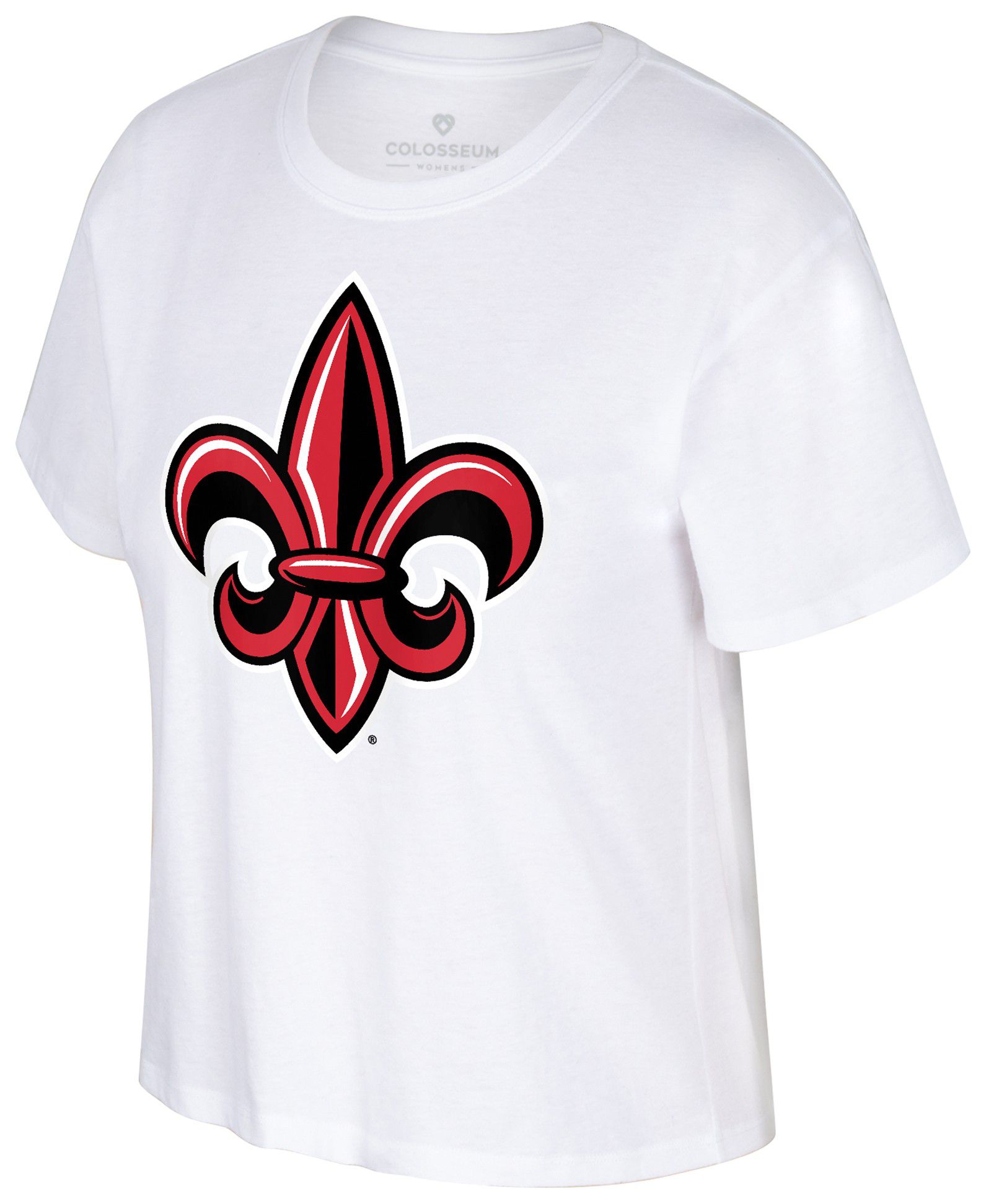 Louisiana-Lafayette Ragin' Cajuns