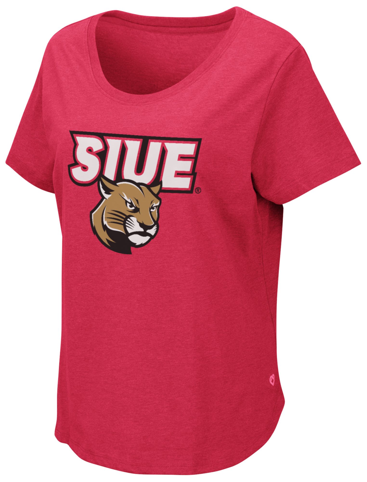 Southern Illinois Salukis